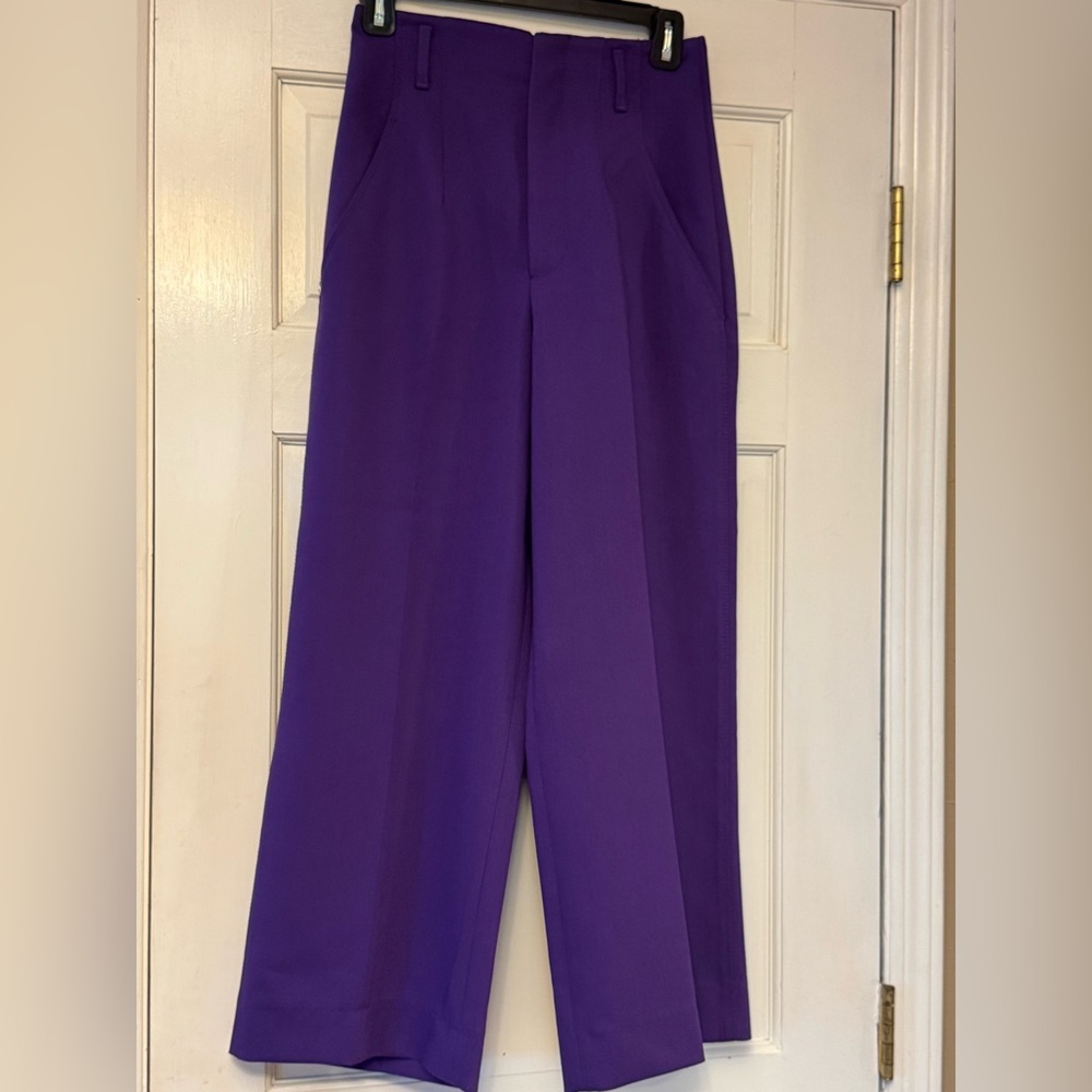Zara Purple Ankle Cropped Pants